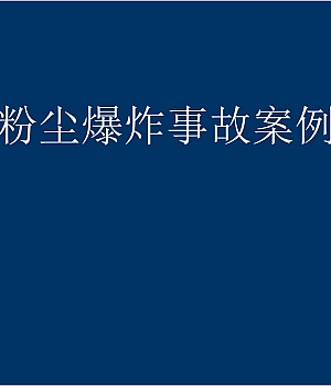 240901-各类粉尘爆炸事故案例分析117页