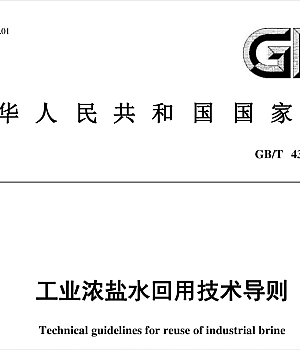 GB_T43950-2024工业浓盐水回用技术导则