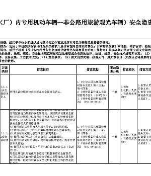 33份特种设备全套安全隐患排查表