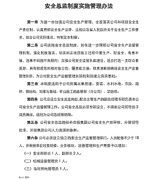 【模板】XX集团公司安全总监制度实施管理办法(10页)