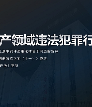 240912-关于安全生产领域违法犯罪的详细解析