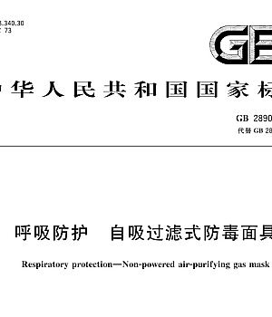GB2890-2022呼吸防护 自吸过滤式防毒面具