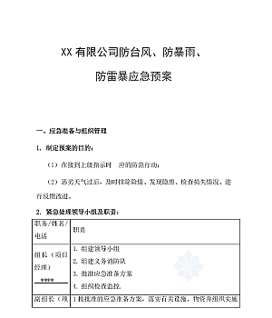 防台风、防暴雨、 防雷暴应急预案(10页)
