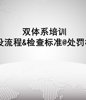 双体系建设流程&检查标准&处罚标准专题培训