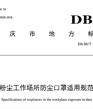DB50T 869-2018粉尘工作场所防尘口罩适用规范