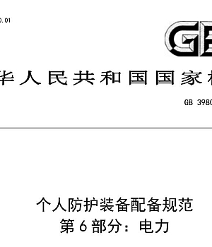 GB39800.6-2023 个体防护装备配备规范第6部分:电力