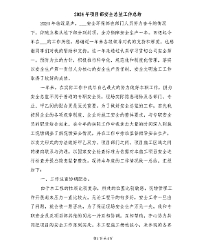 2024年项目部安全总监工作总结