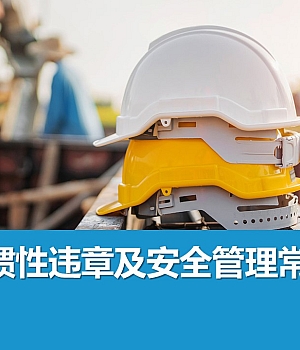 241013-十大习惯性违章及安全管理常用工具丨52页