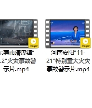 2024年《重特大火灾事故系列视频》!消防安全月组织全员观看!