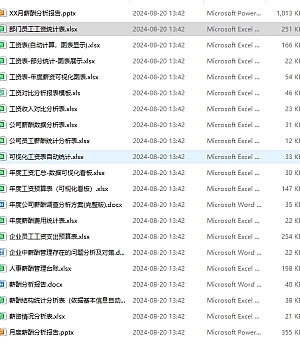 薪酬分析报告21个文件