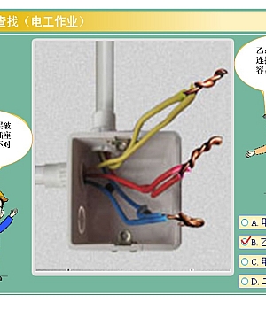 241111-低压电工隐患查找资料整理