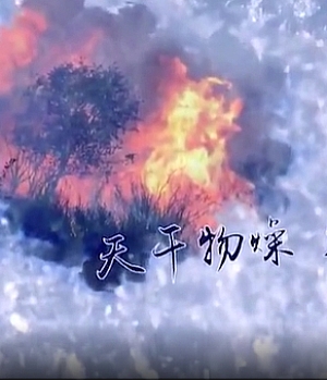 冬季安全事故警示片-安全第一 预防为先