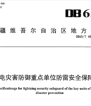 DB65T 4839-2024 雷电灾害防御重点单位防雷安全保障规范