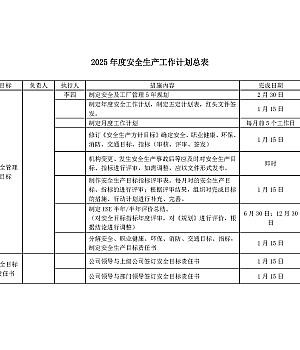 241221-2025年度安全生产工作计划总表