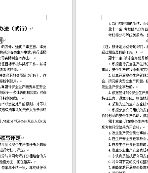 2025安全目标 安全责任制考核(11页)