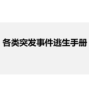241231-各类突发事件逃生手册41页