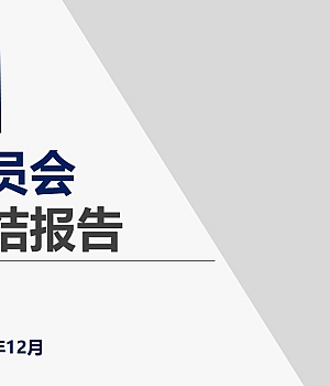 2024年安全委员会年终总结报告+P66