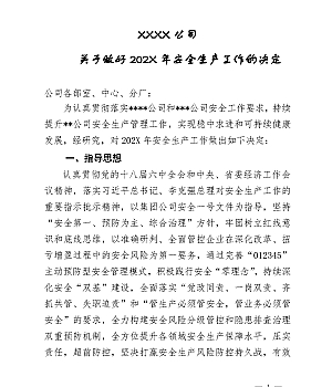 XX公司全年安全生产工作要点(20页)