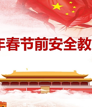 2025年春节前安全教育培训(PPT)