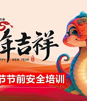 250112-2025春节前系统性安全培训(194页)