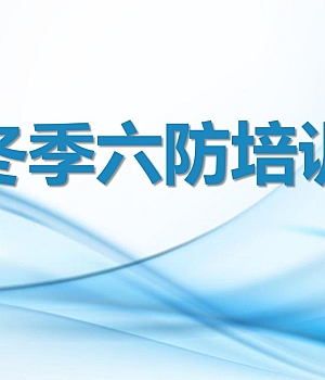 250114-冬季安全生产六防培训33页