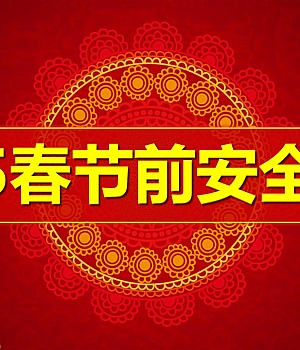 250116-2025春节前安全教育98页