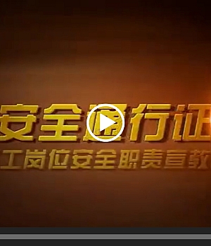 《安全通行证》下集