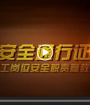 《安全通行证》上集