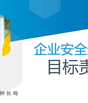 250212-安全生产目标及责任状32页