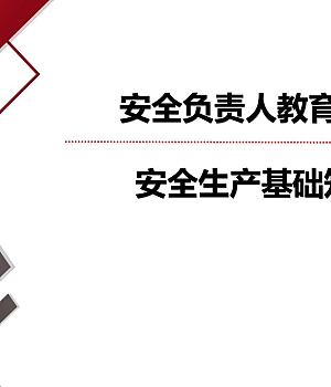 250225-企业负责人安全教育培训59页