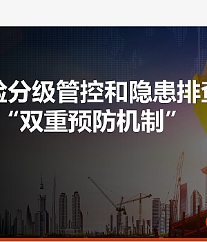 250315-安全风险分级管控和隐患排查治理双重预防机制构建培训材料64页