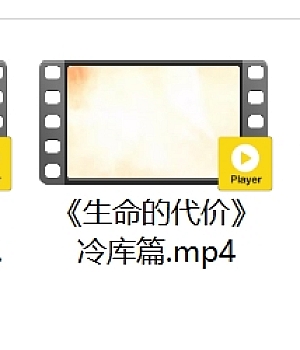 生命的代价 系列宣传片