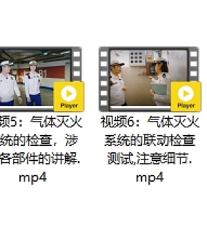 培训消防:消防设施检查的十个教学视频
