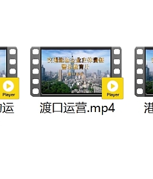 交通运输企业主体责任警示教育片(合集)