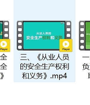 详解主要负责人、安全管理人员、从业人员安全生产法定职责