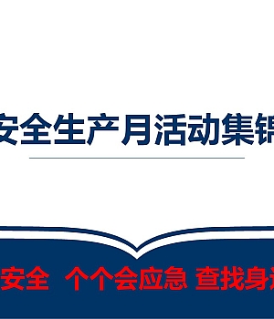 250514-2025年安全生产月活动策划及方案集锦46页