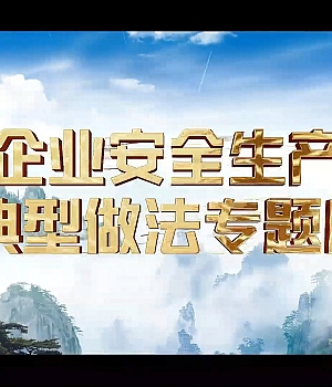 2025《企业安全生产典型做法》专题片