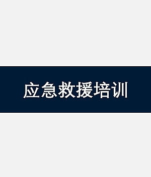 2025安全月之应急救援培训64页