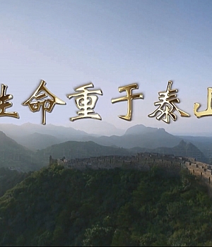 生命重于泰山 (一 )百度网盘链接下载580MB