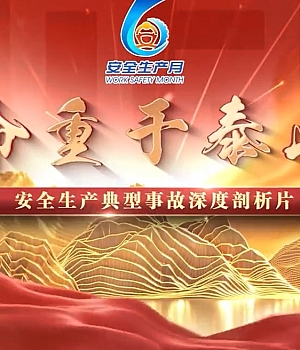 生命重于泰山 (二)百度网盘链接下载400MB