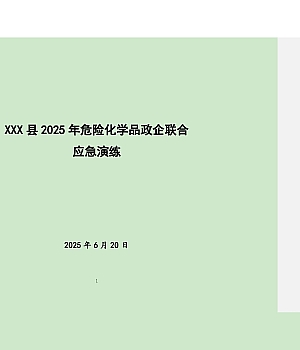 2025年XXX演练脚本19页