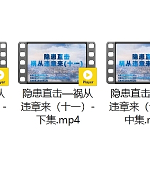 2025隐患直击—祸从违章来(十一)——上、中、下集!