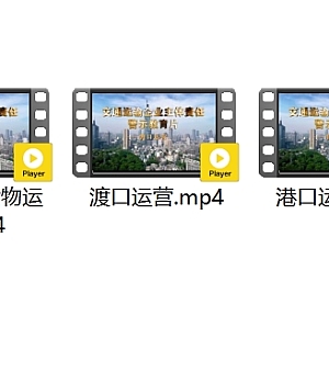 2025年安全培训:交通运输企业主体责任警示教育片(合集)