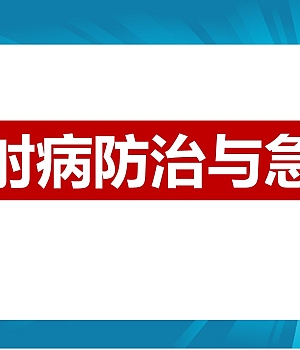 250807-夏季中暑热射病防治与急救