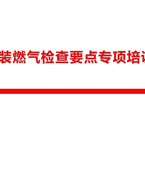 250816-瓶装燃气检查要点专项培训46页