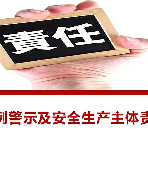 250909-案例警示及安全生产主体责任培训课件51页