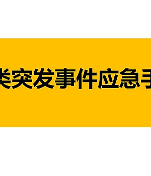 250911-各类突发事件应急手册55页