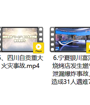 2025年消防月全员必看的《重特大火灾事故系列视频》(10部)