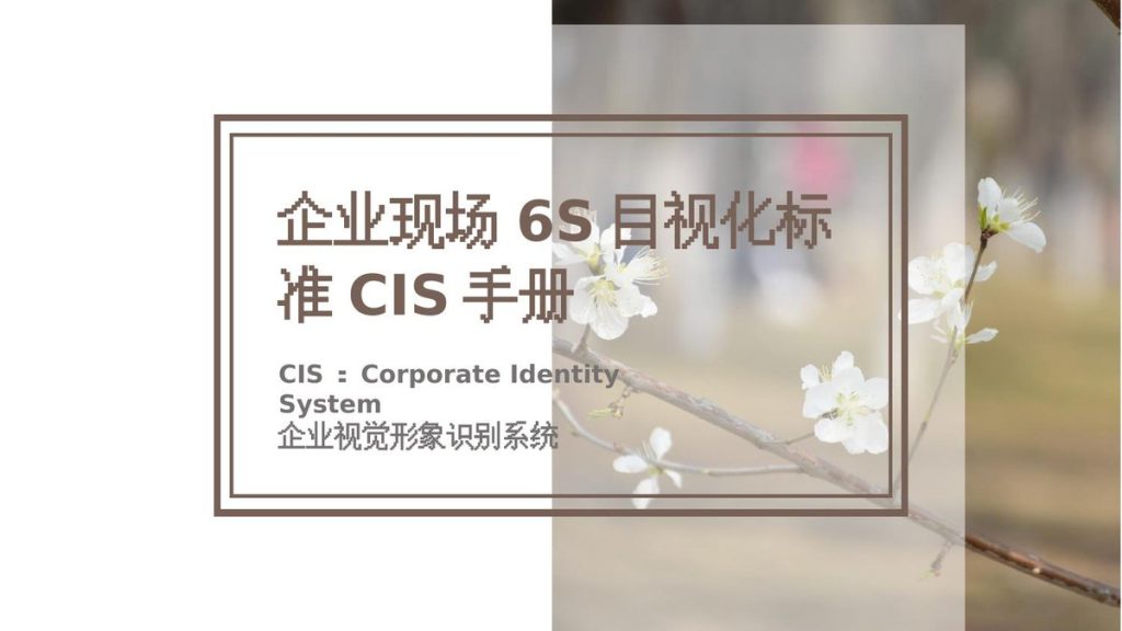 240520-企业现场6S目视化标准CIS手册