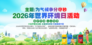 2026年2张争分多秒.rar